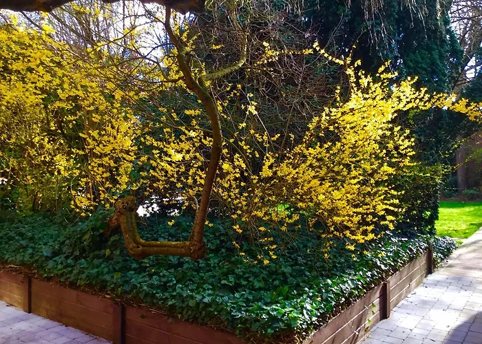 Πανσιόν La Carree *